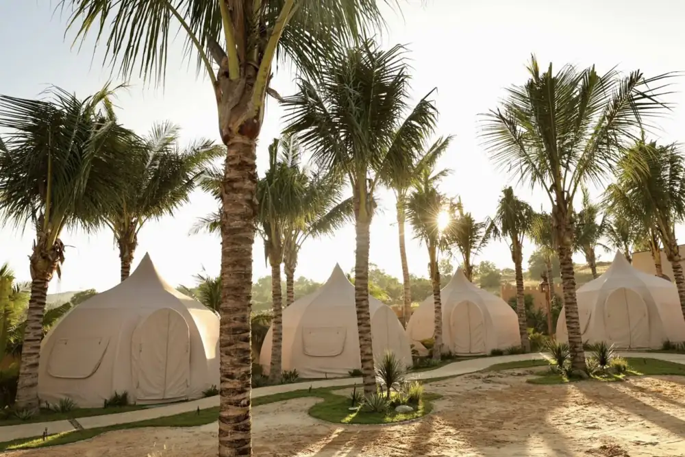 Luxury glamping tents at The Silk Road Mui Ne surrounded by palm trees