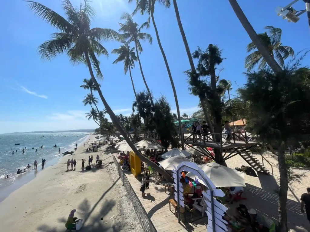 Palm trees and beach view in Mui Ne Vietnam