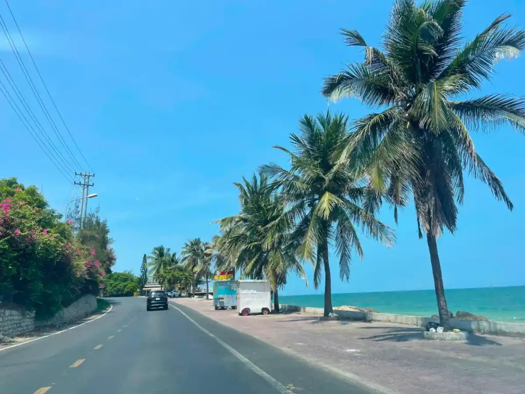 Beautiful coastal road with palm trees between Mui Ne and Nha Trang in Vietnam